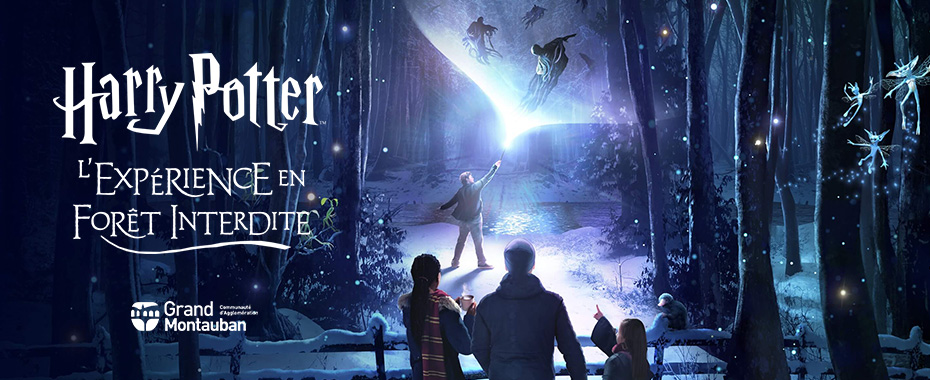 Harry Potter : L'Expérience en Forêt Interdite