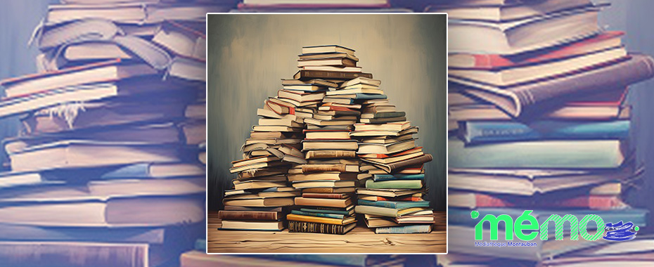 Mémo : la Grande Braderie 2024